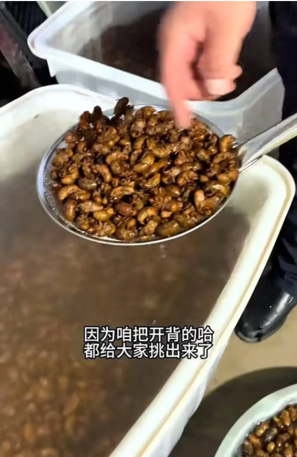 网红村支书带货“金蝉”被指破坏生态？对话当事人：“知了猴”并非益虫，当地不会无节制捕捉